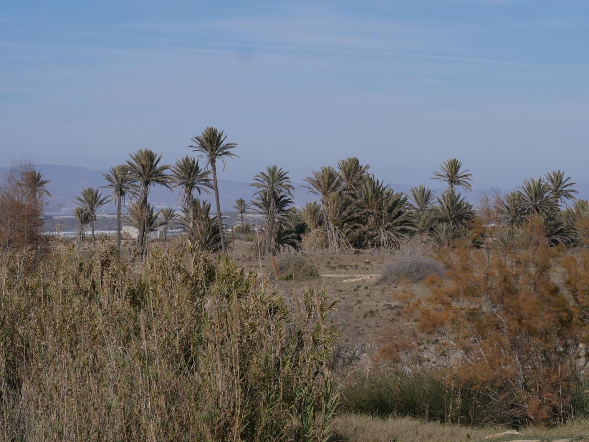 Precioso Apartamento En Cabo De Gata Kültér fotó
